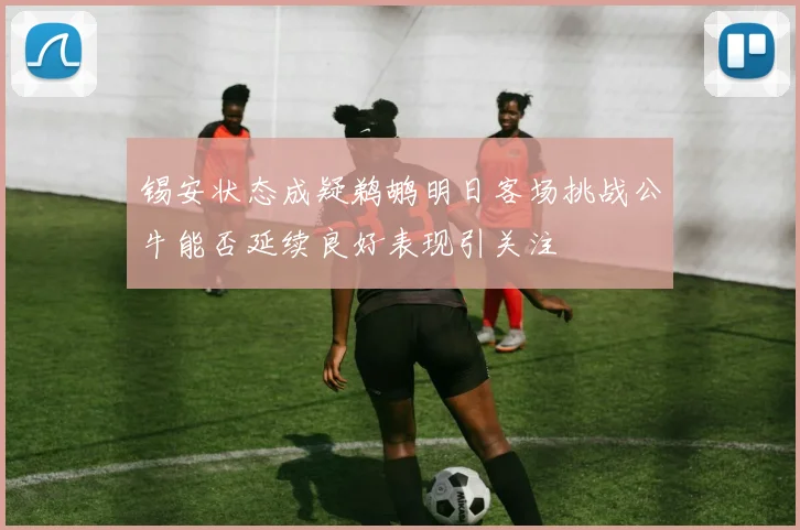锡安状态成疑鹈鹕明日客场挑战公牛能否延续良好表现引关注