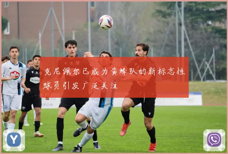 克尼佩尔已成为黄蜂队的新标志性球员引发广泛关注